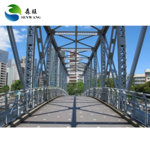 Easy Assemble Steel Bridge Pedestrian Bridge Bailey Bridge