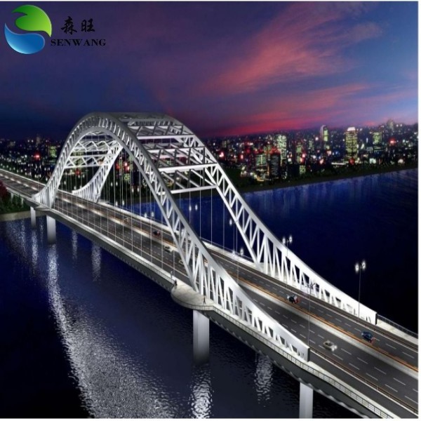 Best Selling Professional Design Fast Construction Truss Bailey Bridge steel structure Truss Bailey Bridge