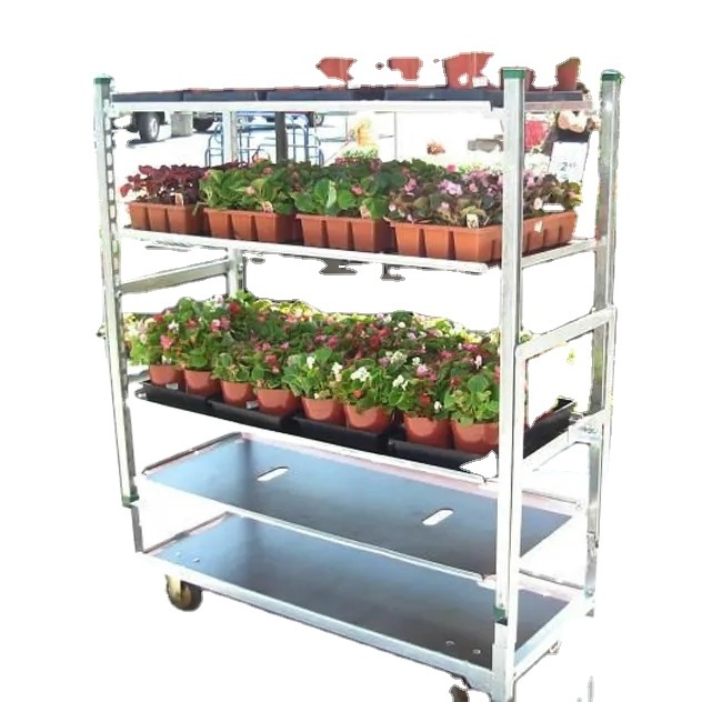 Plywood shelves nursery plant farmers market danish greenhouse metal trolley for flowers