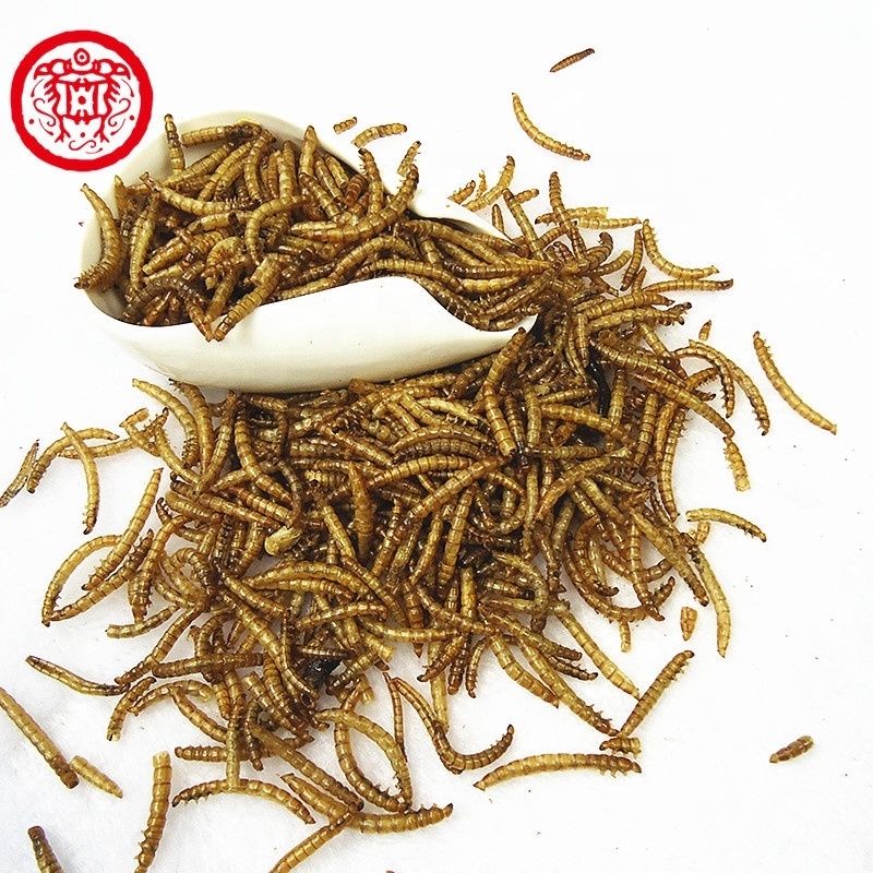 High Protein Dried Mealworms Bulk Chicken Feed Dry Mealworm China Qingdao Customized Trout Fish Food Price Koi King Fish Food