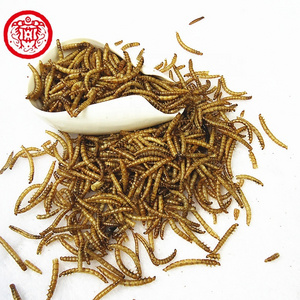 High Protein Dried Mealworms Bulk Chicken Feed Dry Mealworm China Qingdao Customized Trout Fish Food Price Koi King Fish Food