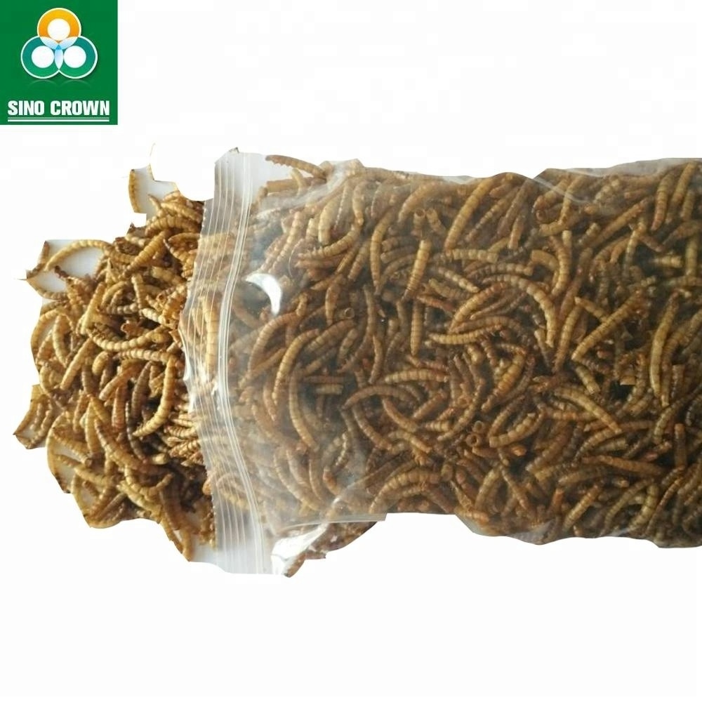 High Protein Dried Mealworms Bulk Chicken Feed Dry Mealworm China Qingdao Customized Trout Fish Food Price Koi King Fish Food