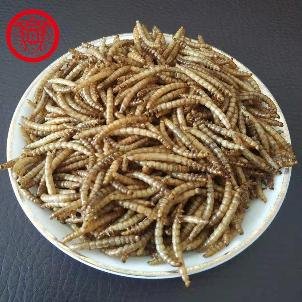 High Protein Dried Mealworms Bulk Chicken Feed Dry Mealworm China Qingdao Customized Trout Fish Food Price Koi King Fish Food