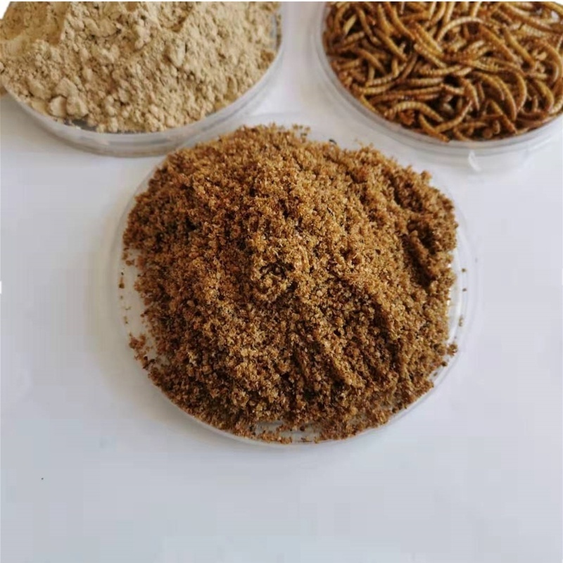 High protein Mealworm Powder Insect Cricket Powder