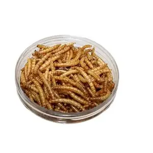 dried mealworms cricket powder