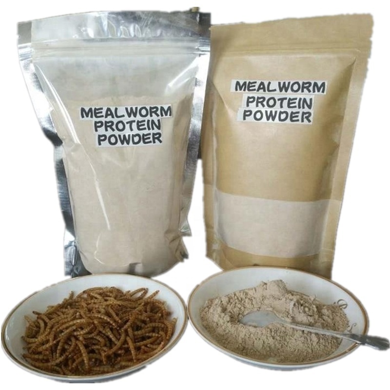 Defatted Mealworm Protein Powder Of 15mm Carp Fishing Boilie Deals 5kg &10kg Bulk Baits Free Dips & Pop Up