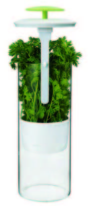 SINO GLASS Green fresh vegetable Borosilicate Glass Herb Keeper