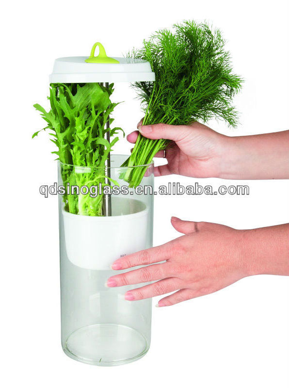 SINO GLASS Green fresh vegetable Borosilicate Glass Herb Keeper