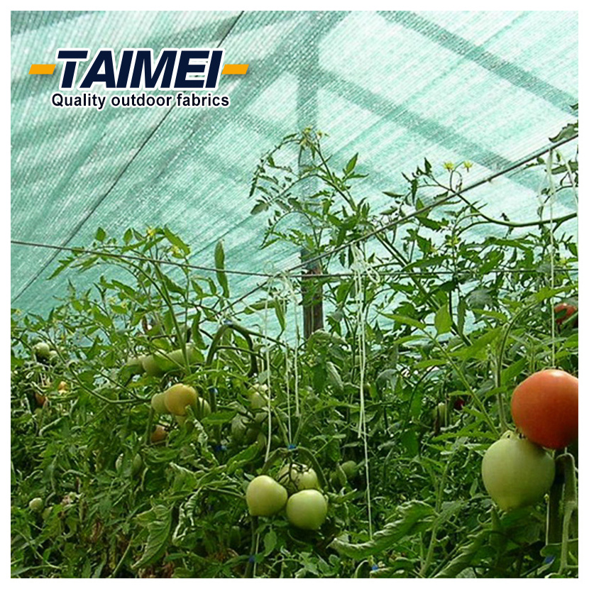 UV Net Agricultural Netting Agriculture Protective Shade Net for Fruits and Vegetables