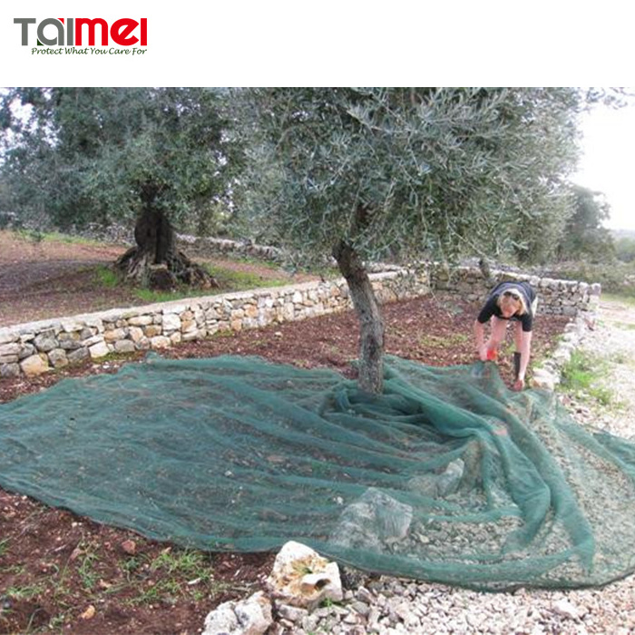 HDPE Agriculture Fruit Tree Protection Net / Olive Net