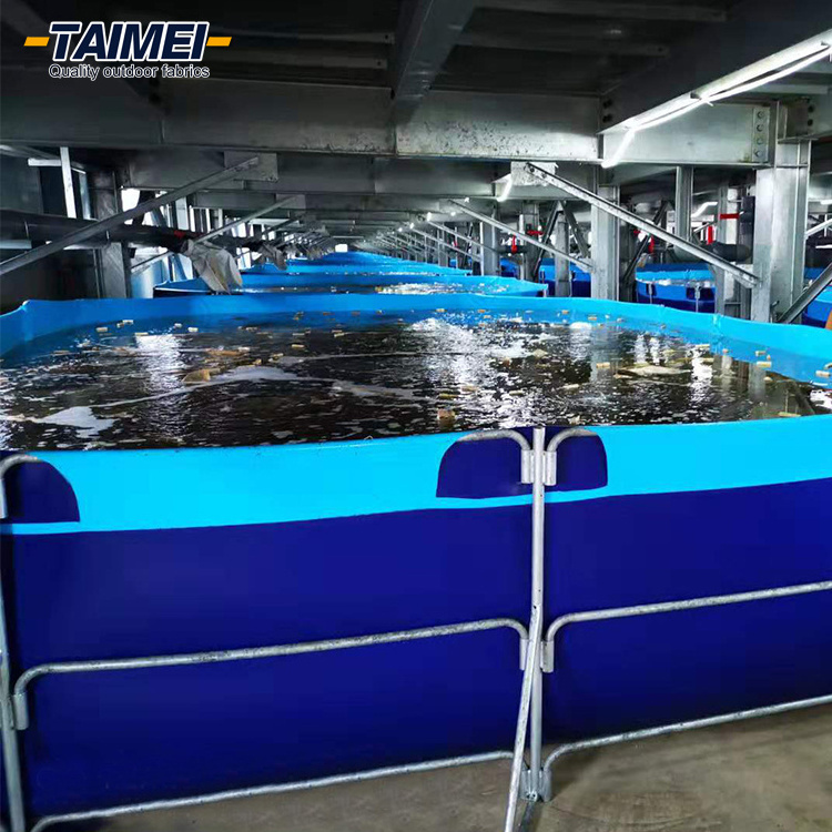 Indoor Aquaculture Fish Tank Fish Pond of Aquaculture Fish Farming Equipment Aquaculture System