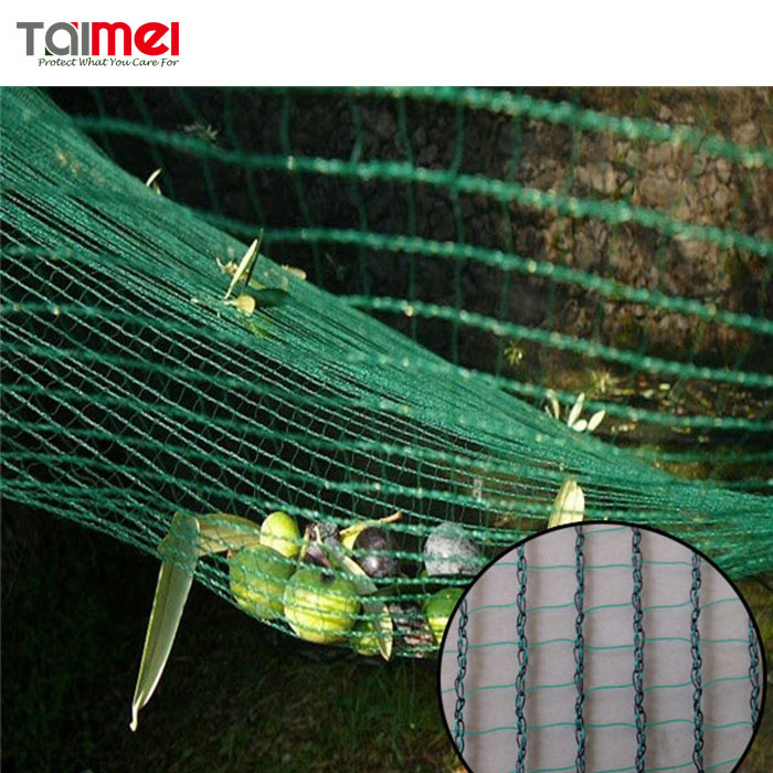 HDPE Agriculture Fruit Tree Protection Net / Olive Net