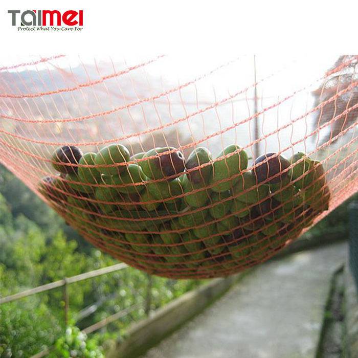 HDPE Agriculture Fruit Tree Protection Net / Olive Net