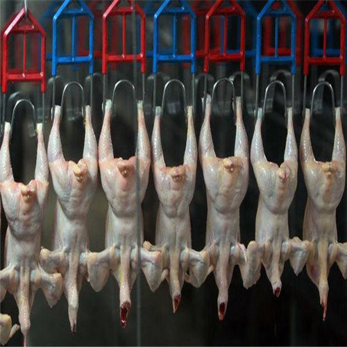 Complete chicken slaughter line chicken broiler butchery equipment