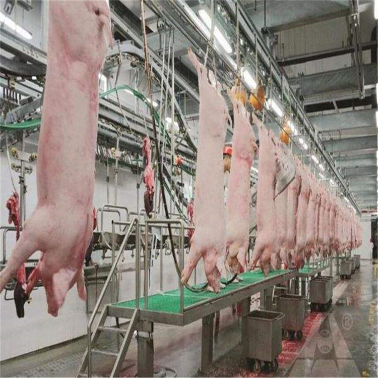 cattle pig slaughter/pig slaughterhouse processing machine