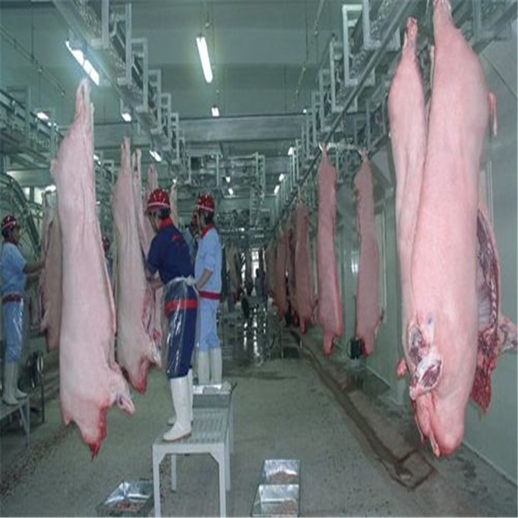 cattle pig slaughter/pig slaughterhouse processing machine