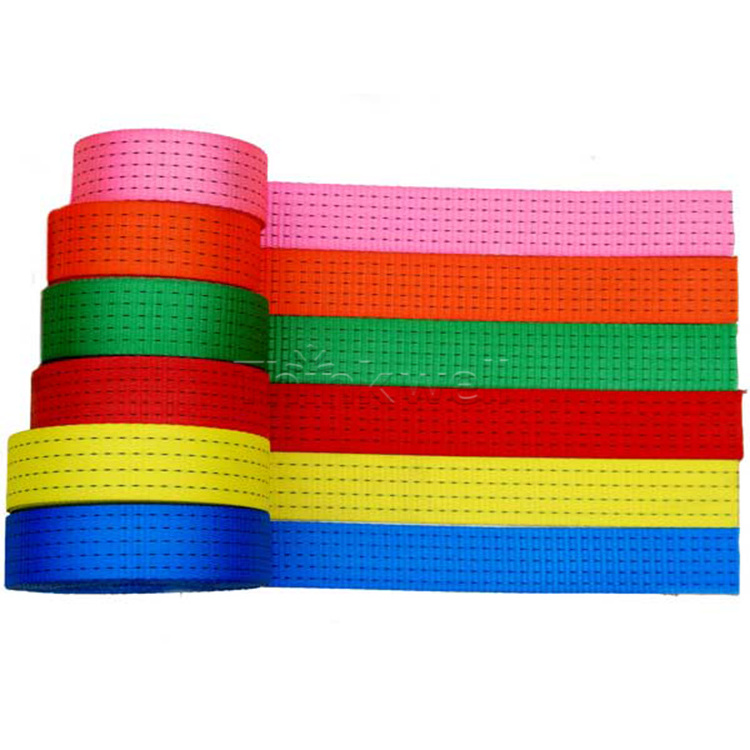 Factory Wholesale Colorful Nylon Web Sling