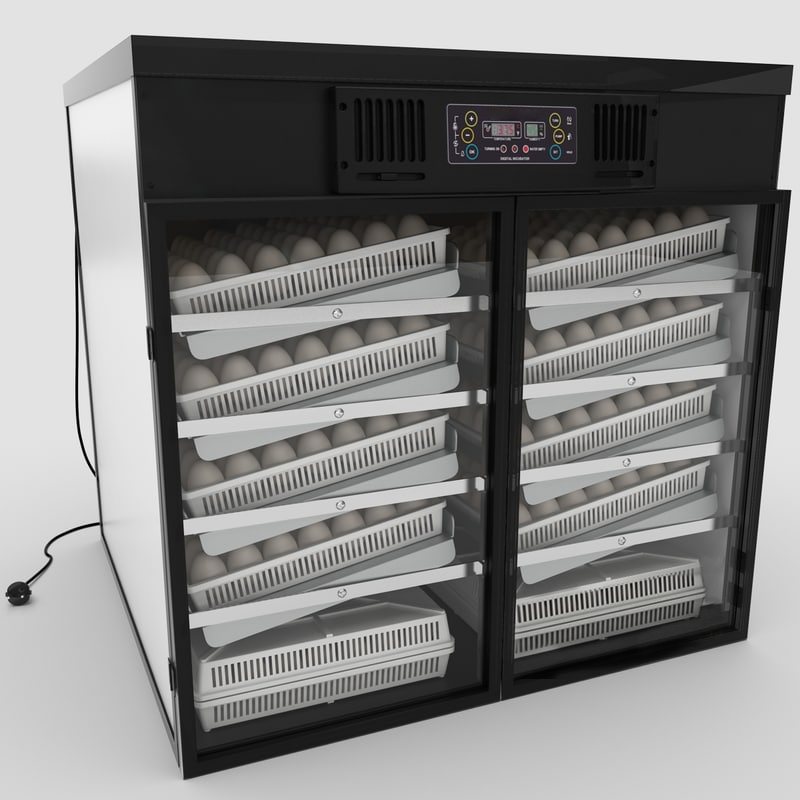 4000 Eggs Fully Automated Incubator Manufacturers Direct Sales