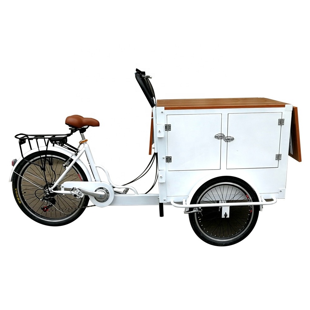 TUNE Customized Electric Bike with Fridge Ice Cream Cargo Bike for Sale