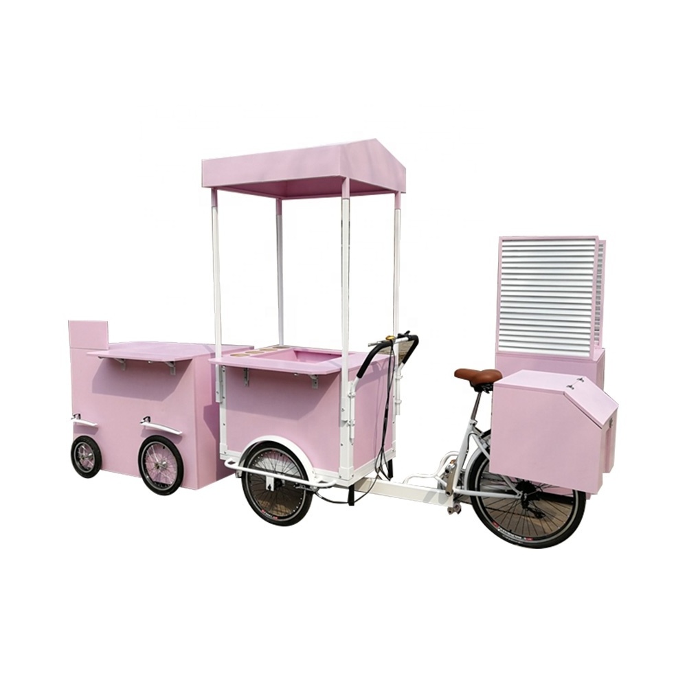 TUNE Customized Electric Bike with Fridge Ice Cream Cargo Bike for Sale