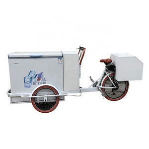 TUNE Customized Electric Bike with Fridge Ice Cream Cargo Bike for Sale