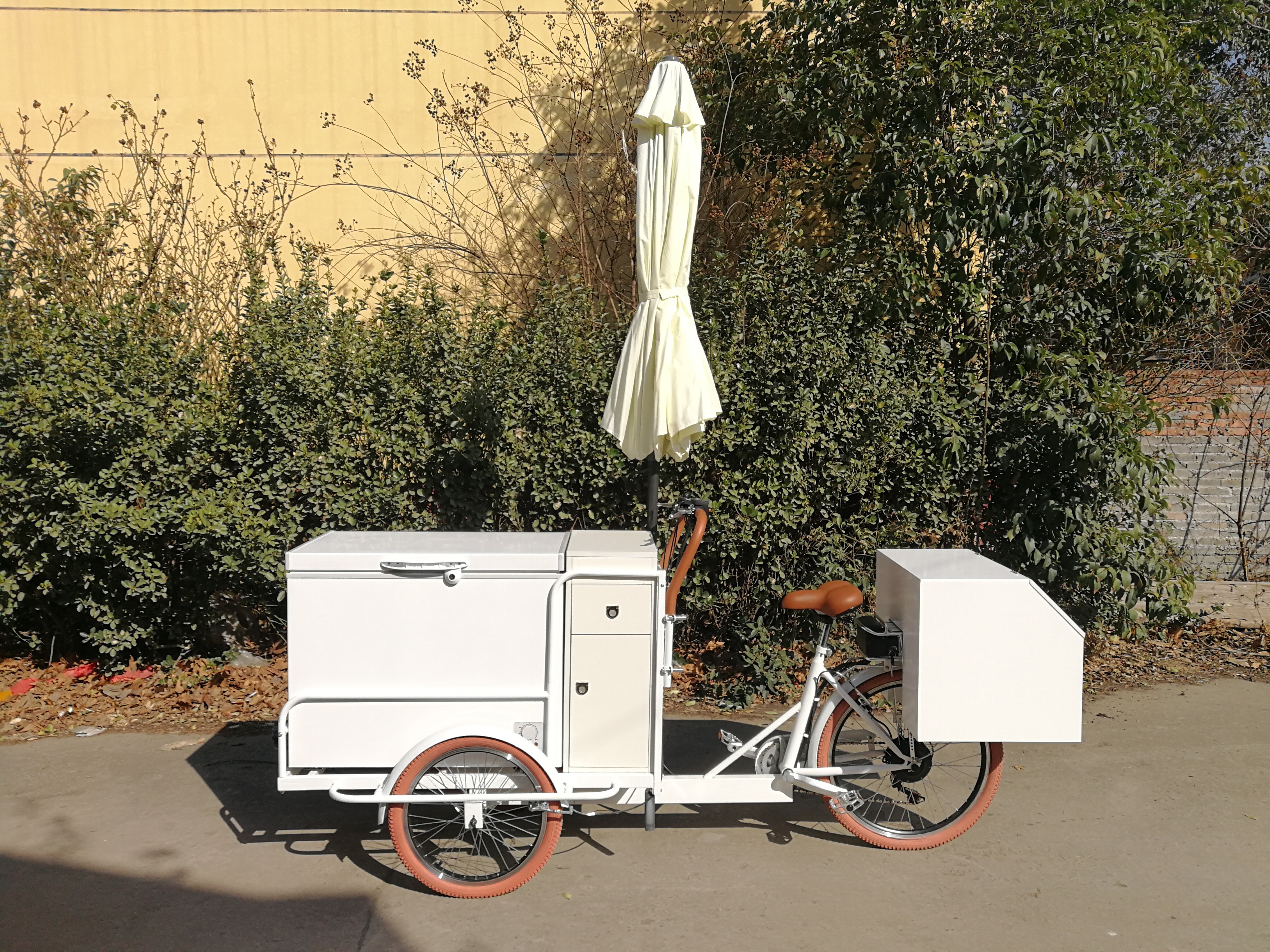 TUNE Three Wheels Electric Truck Food Trailer Cart Bike Bicycle for Sale