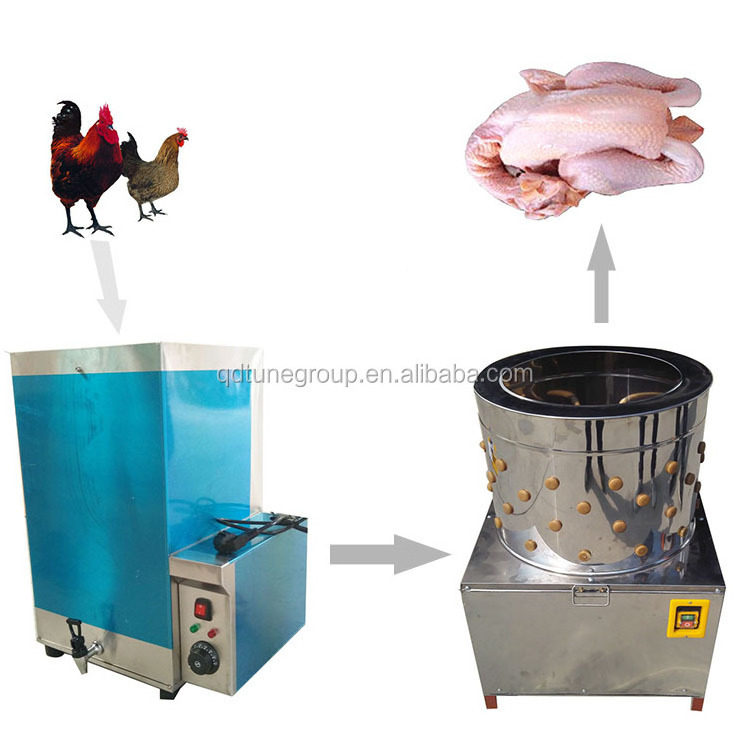 scalder and plucker/machine remove chicken feathers