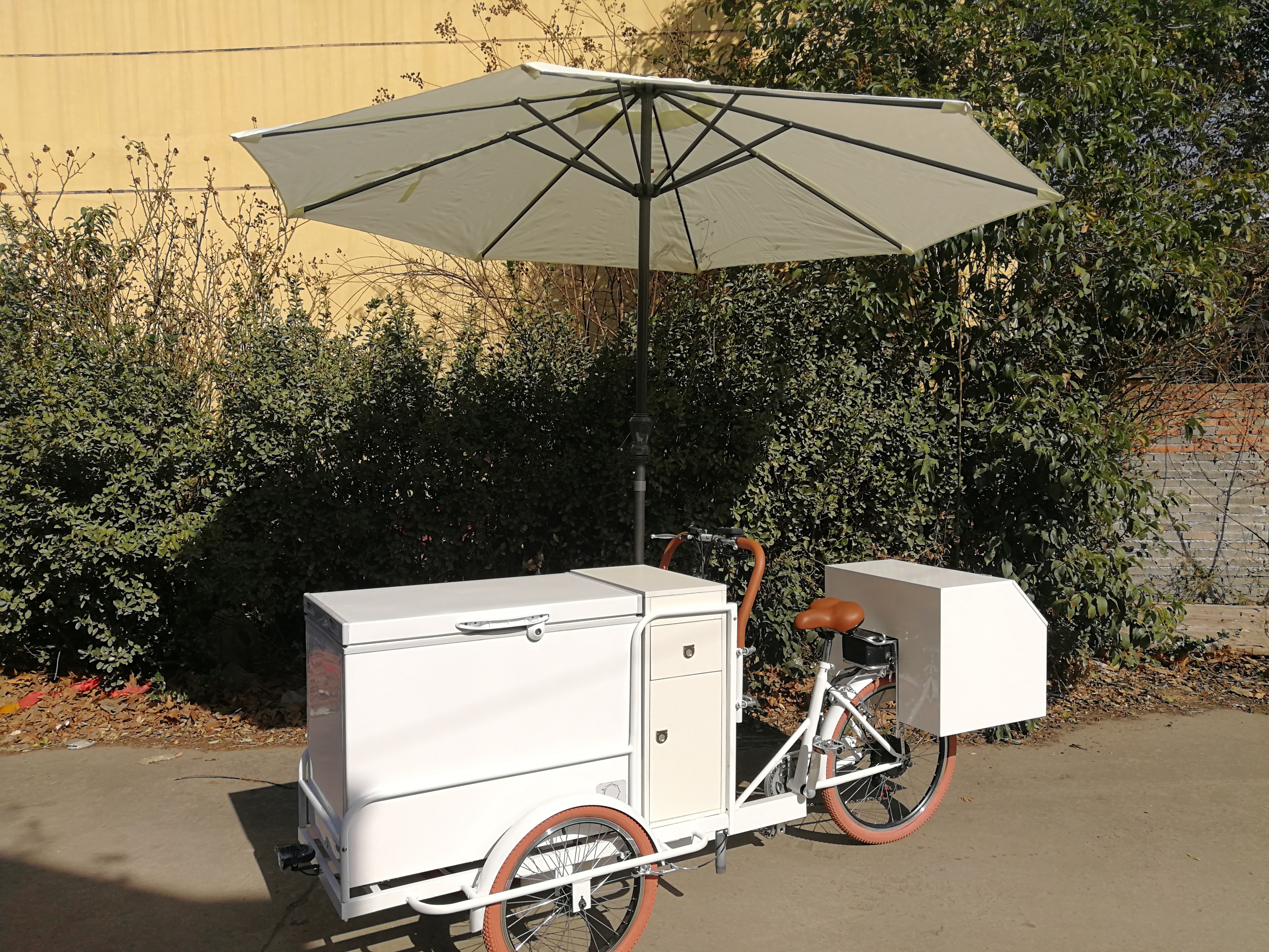 TUNE Three Wheels Electric Truck Food Trailer Cart Bike Bicycle for Sale