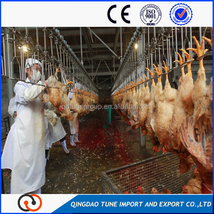 Best price poultry slaughter machine/chicken slaughtering production line