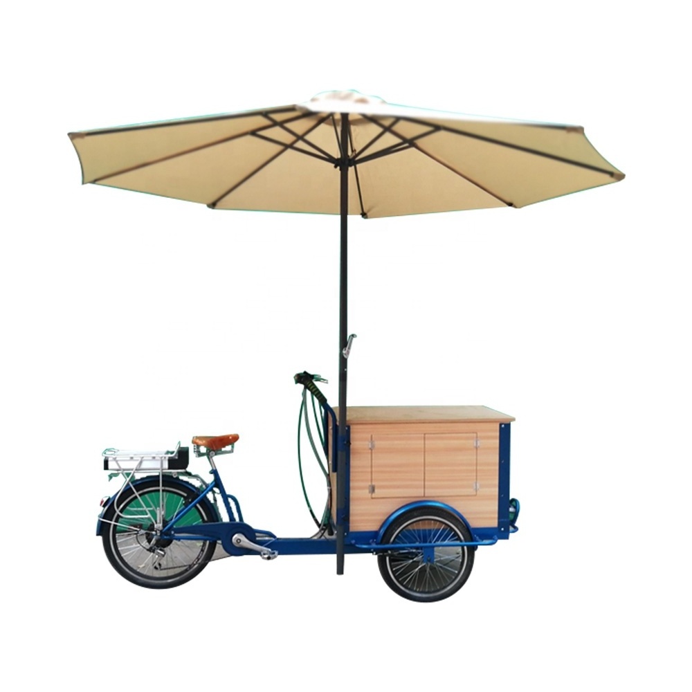 hot sale electric 3 wheels ice cream bike mobile food cart for sale