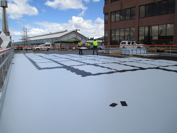 skating rink floor tile/Artificial Ice Skating Rinks/Used Synthetic Ice for Sale