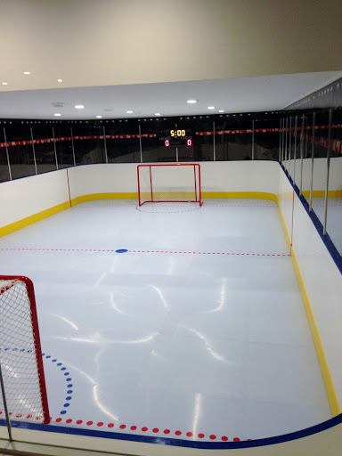 factory outlet removable artificial synthetic ice skating boards Reusable plastic synthetic ice