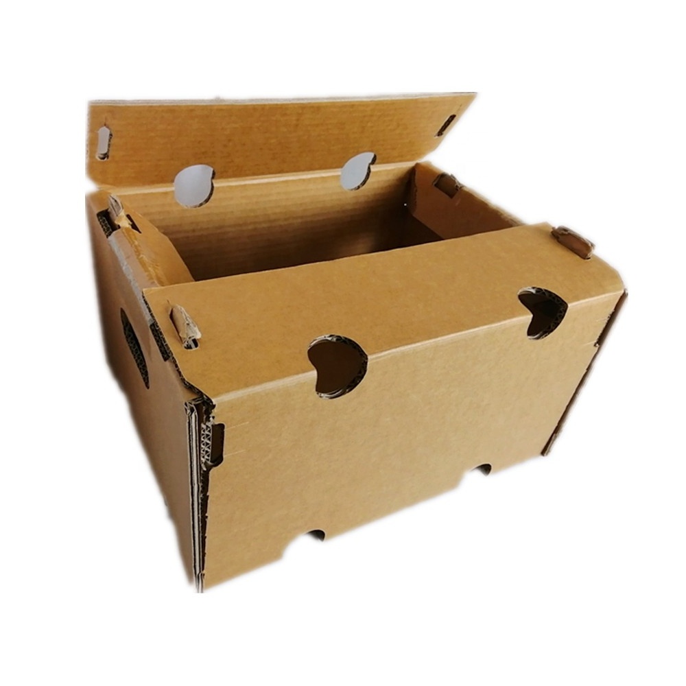 Custom Cheap Corrugated Pineapple Tomato Ginger Avocado Citrus Apple Packaging Cardboard Box For Fresh Fruits And Vegetables