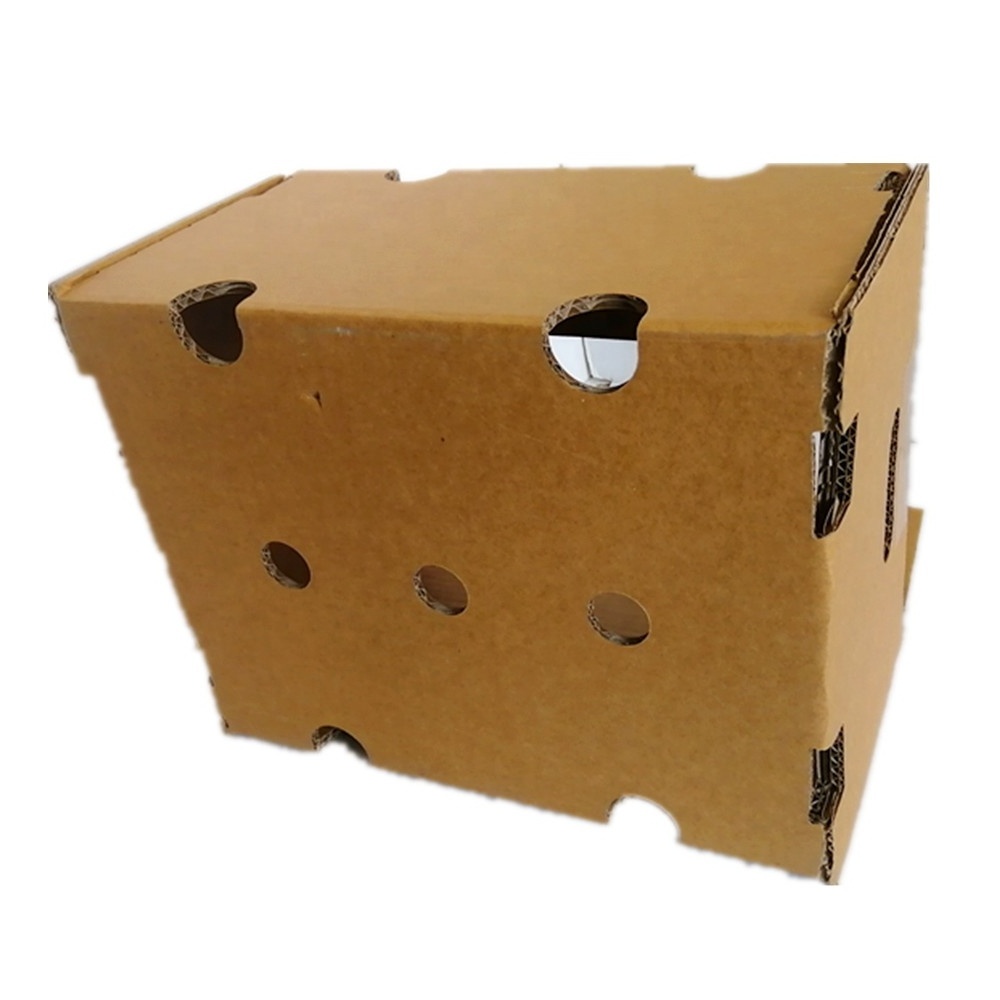 Wholesale Free design Fruits Tomato Banana Pineapple Avocado Packing Boxes Corrugated Cardboard Shipping Box