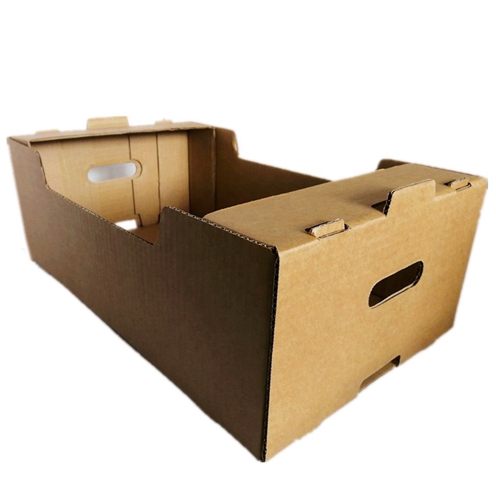 vegetable ventilated preservation box vegetable carton box packaging vegetable corrugated box for packing cucumber