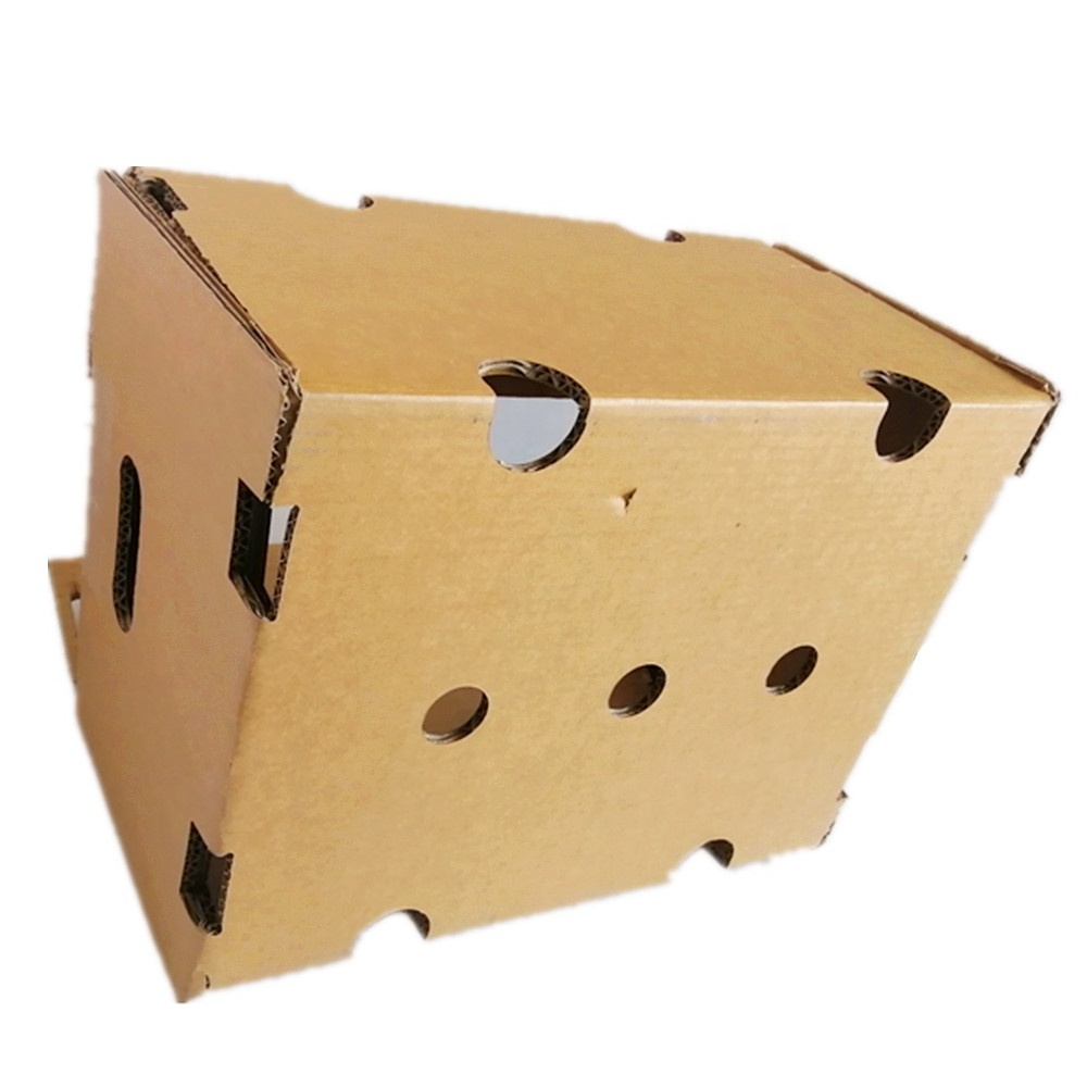 Wholesale Free design Fruits Tomato Banana Pineapple Avocado Packing Boxes Corrugated Cardboard Shipping Box