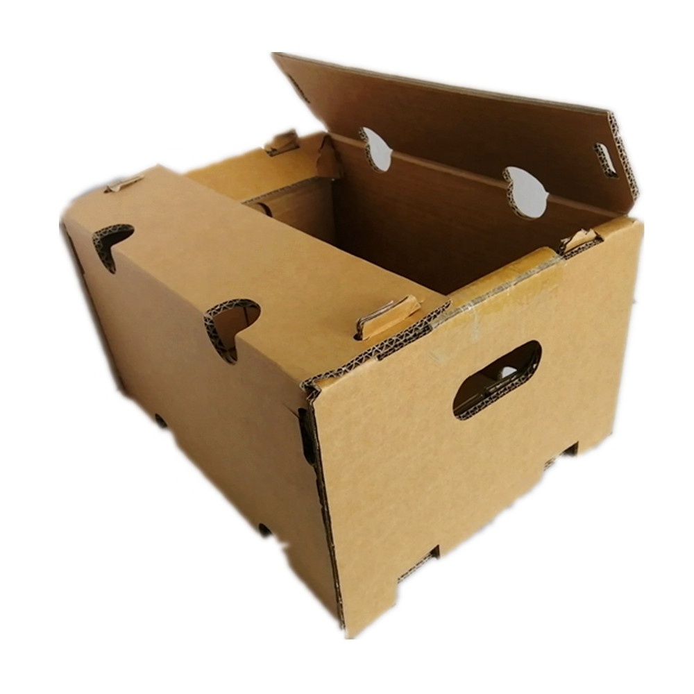 Wholesale Free design Fruits Tomato Banana Pineapple Avocado Packing Boxes Corrugated Cardboard Shipping Box