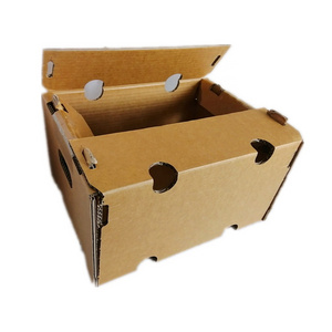 Wholesale Free design Fruits Tomato Banana Pineapple Avocado Packing Boxes Corrugated Cardboard Shipping Box