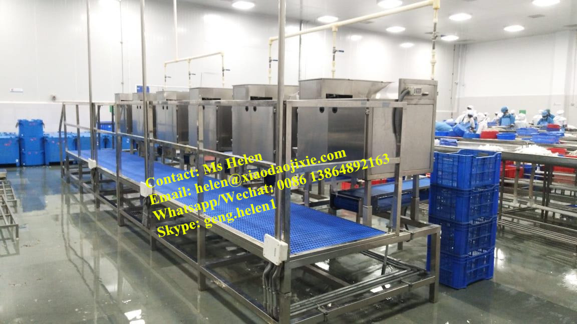 Automatic Peeled and Deveined with Tail on Shrimp Peeling Machine, Prawn Shrimp Processing Machine Hot Product 2019 Provided 3kw