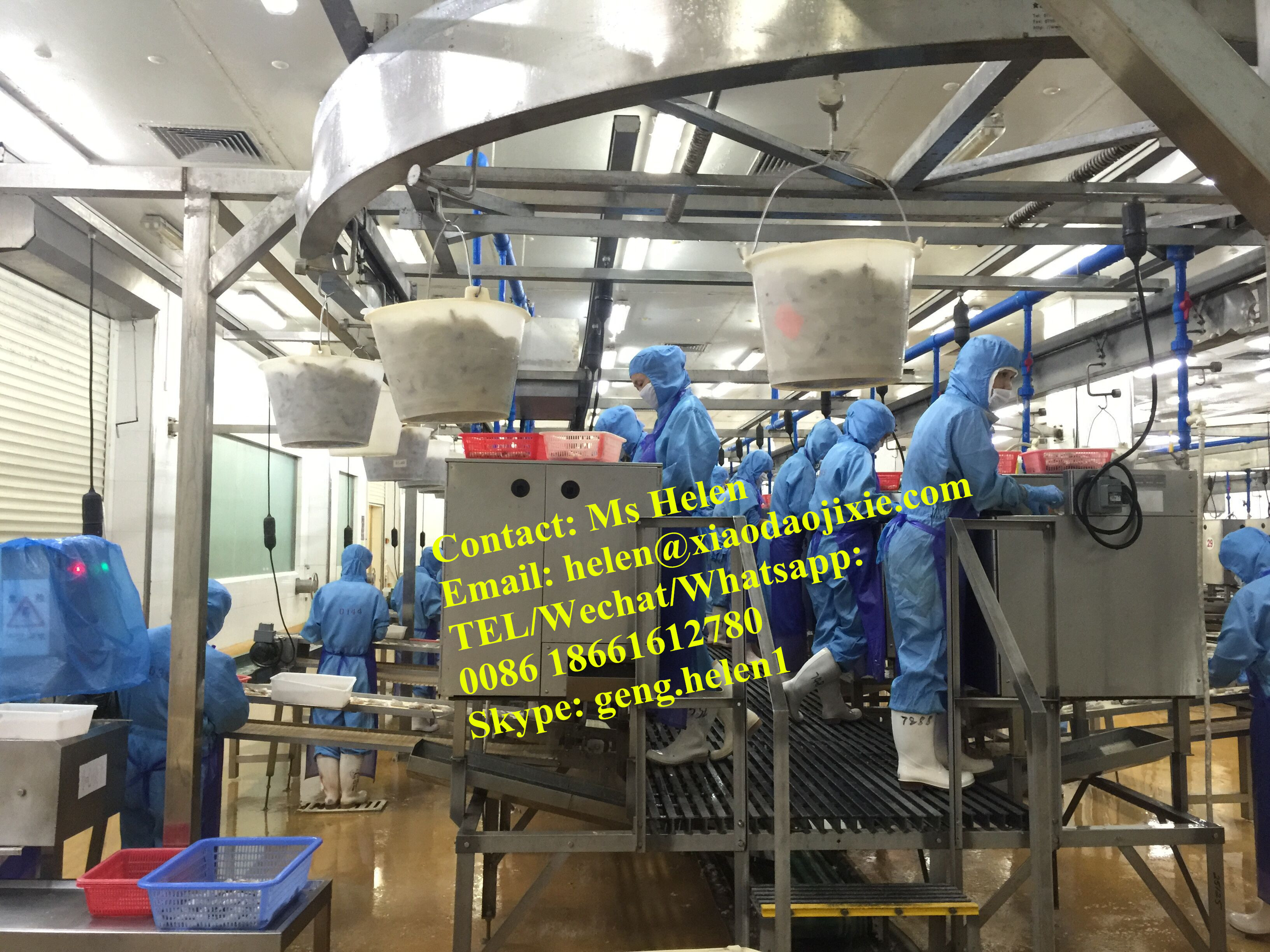 Automatic Peeled and Deveined with Tail on Shrimp Peeling Machine, Prawn Shrimp Processing Machine Hot Product 2019 Provided 3kw