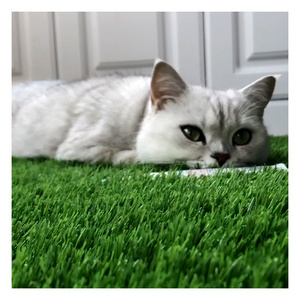 Children Pet Friendly Sports Floor Carpet Lawn Indoor Outdoor Football Turf Landscaping Decorative Artificial Grass For Pets