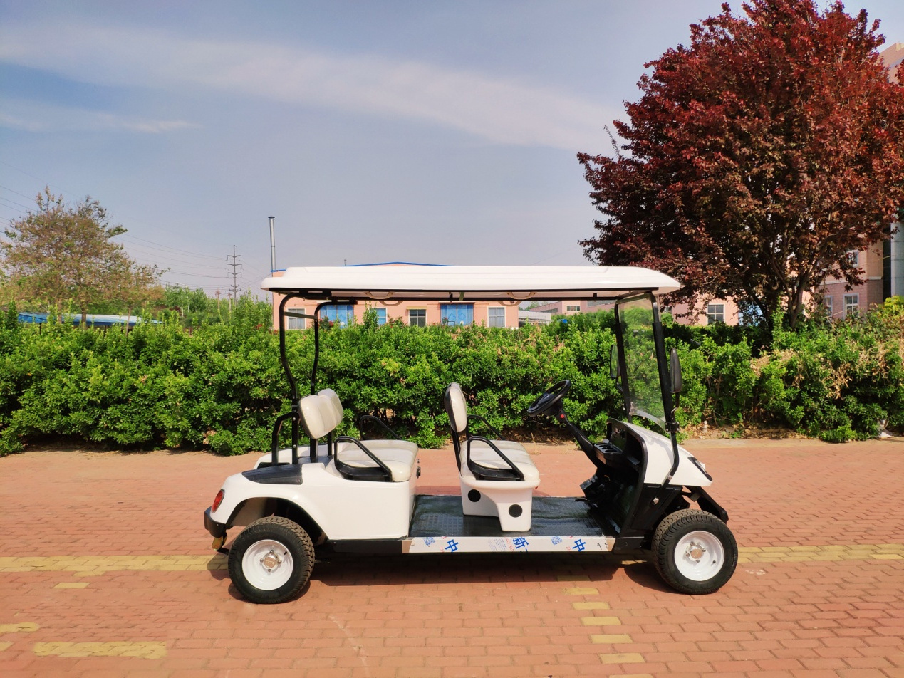 Popular 48V Mini Electric Golf Cart Mini Tour Bus Tourist Shuttle Sightseeing Car Golf Buggy