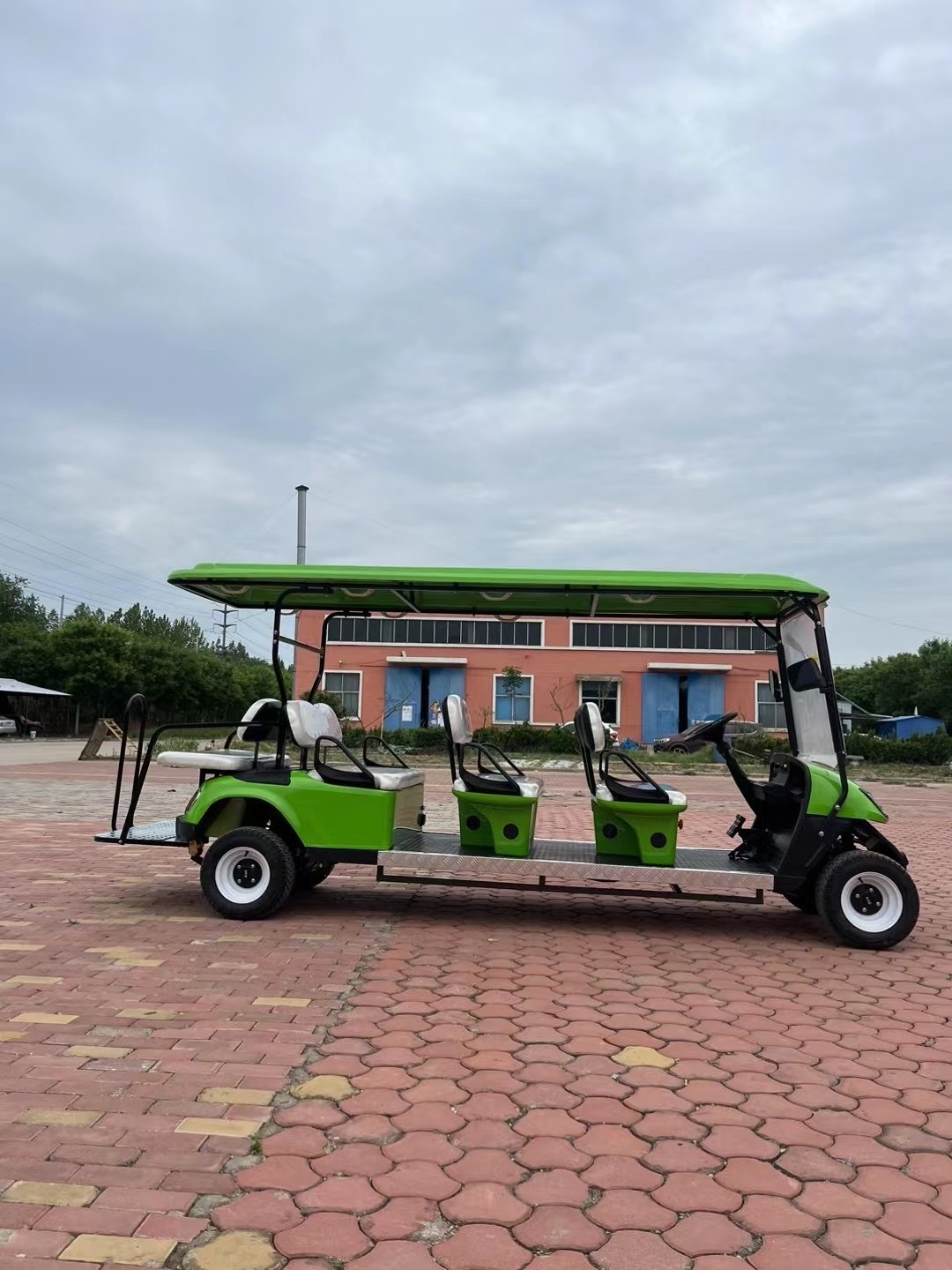 Competitive Prices Lithium Battery Powered 72V AC System 2 Persons Electric Fleet Golf Cart