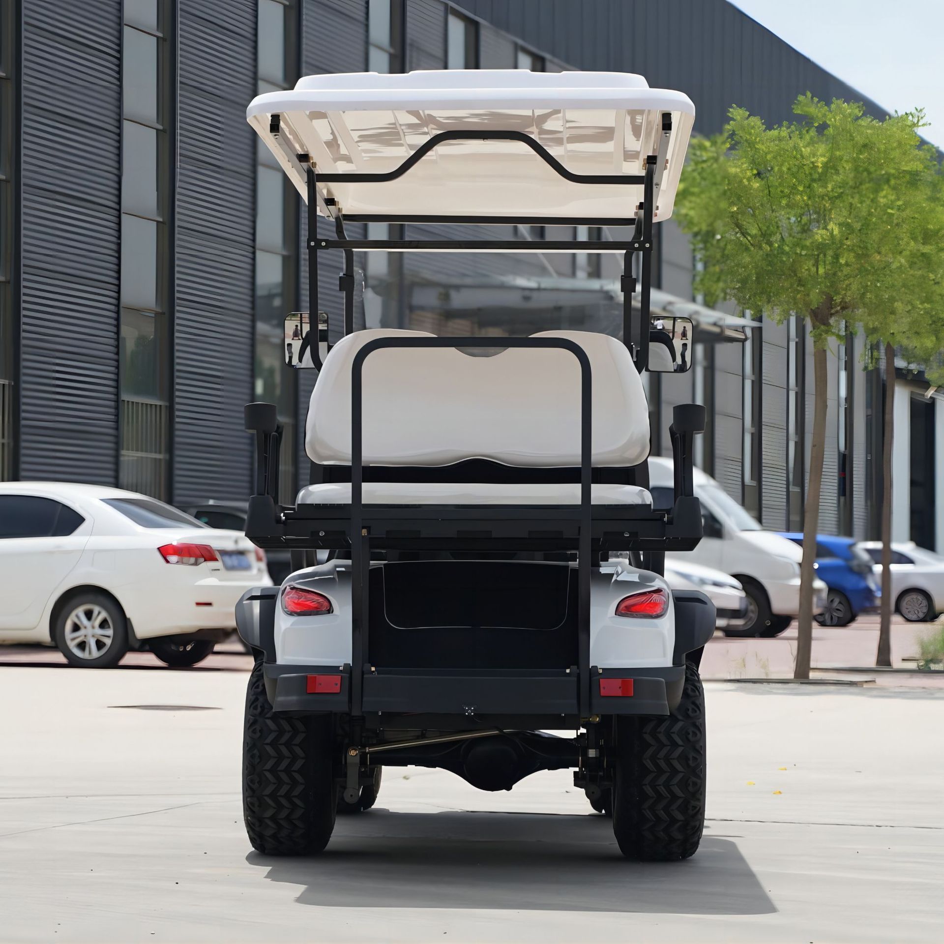 2 4 6 8 Person 48v electric lifted street legal golf carts off road golf buggy electric club car for sale