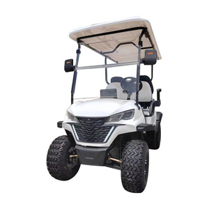 2 4 6 8 Person 48v electric lifted street legal golf carts off road golf buggy electric club car for sale