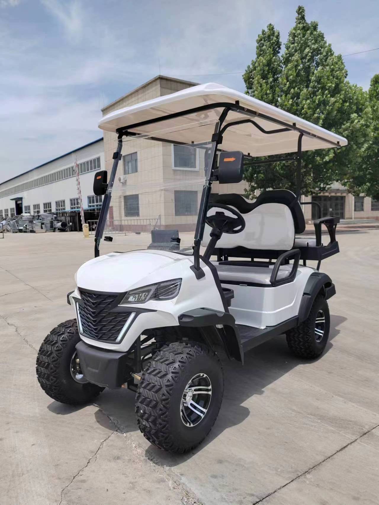 2 4 6 8 Person 48v electric lifted street legal golf carts off road golf buggy electric club car for sale