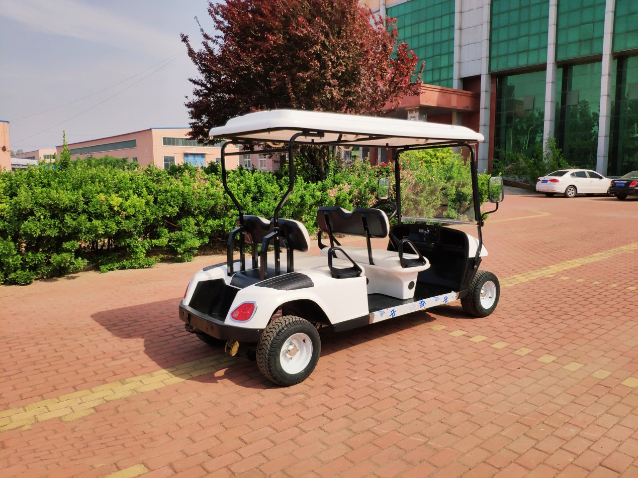 Popular 48V Mini Electric Golf Cart Mini Tour Bus Tourist Shuttle Sightseeing Car Golf Buggy