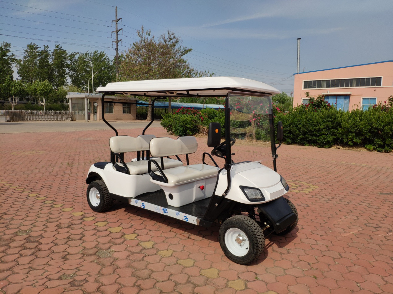 Popular 48V Mini Electric Golf Cart Mini Tour Bus Tourist Shuttle Sightseeing Car Golf Buggy