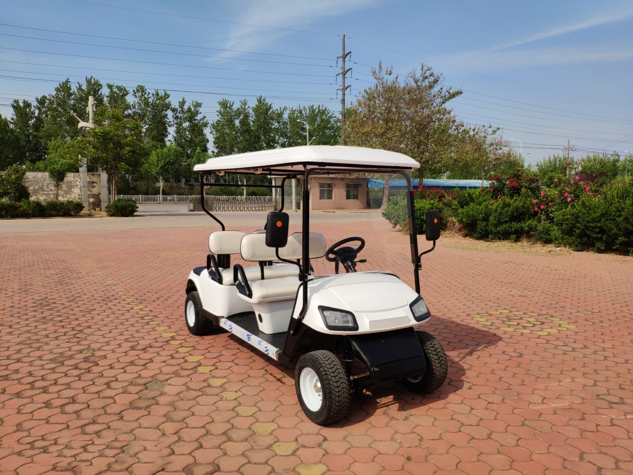 Free Color Logo Custom Professional Meter Fast Electric Car Club Carts Golf Buggy Electric Mobility Scooter