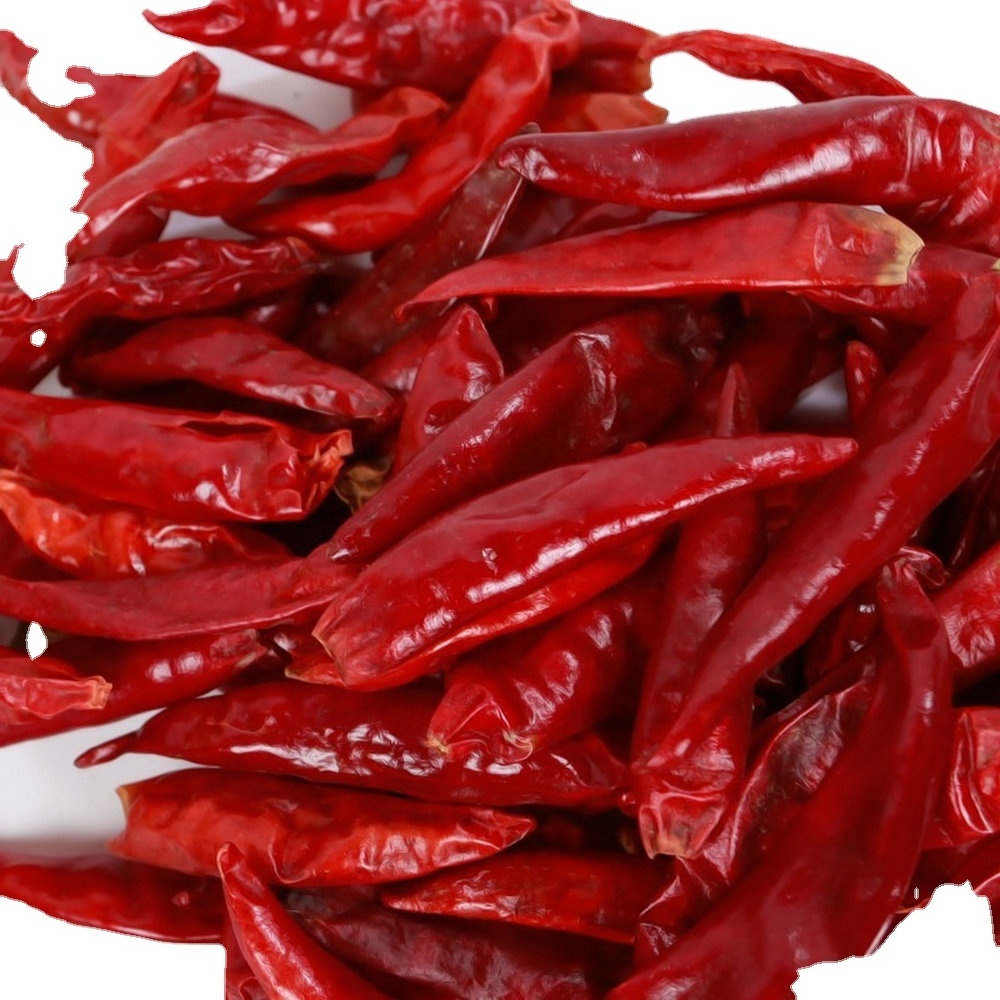 RED DRIED CHILLI / CHILLI CHINA / RED CHILLI PRICE